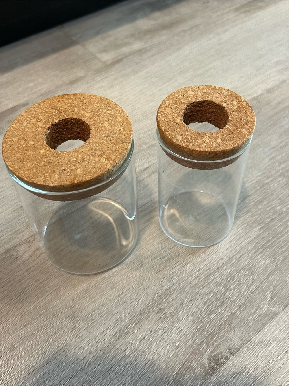 Clear Propagation Glass Jars with Cork Donut Lids (Set of 2)